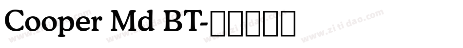 Cooper Md BT字体转换